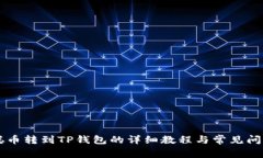 中本聪币转到TP钱包的详细教程与常见