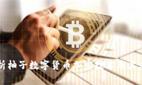 深入解析柚子数字货币加密技术及其应用前景