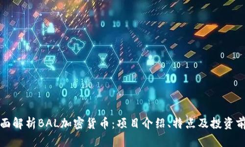 全面解析BAL加密货币:项目介绍、特点及投资前景
