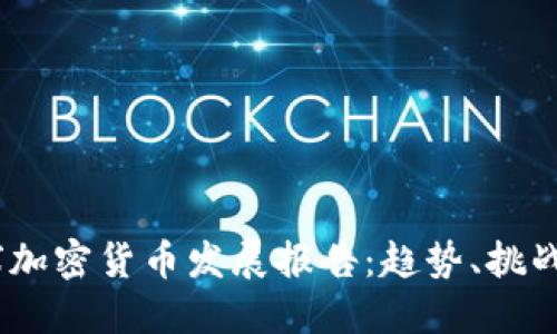 2023年全球加密货币发展报告:趋势、挑战与未来机遇