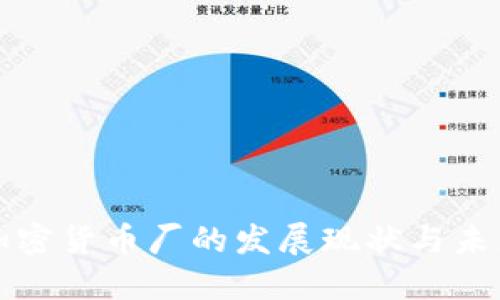 中国加密货币厂的发展现状与未来趋势