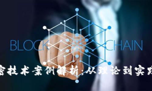 数字货币加密技术案例解析:从理论到实践的全景探讨