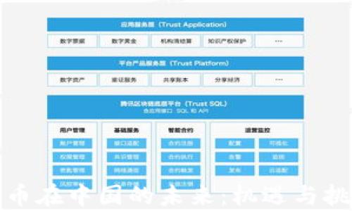 
加密货币在中国的未来：机遇与挑战解析