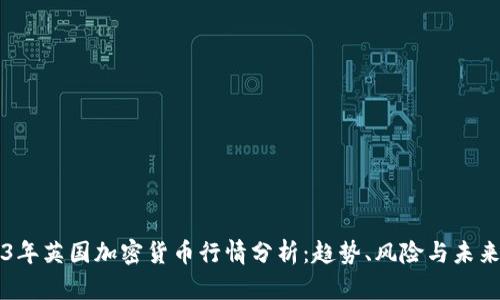 2023年英国加密货币行情分析：趋势、风险与未来展望
