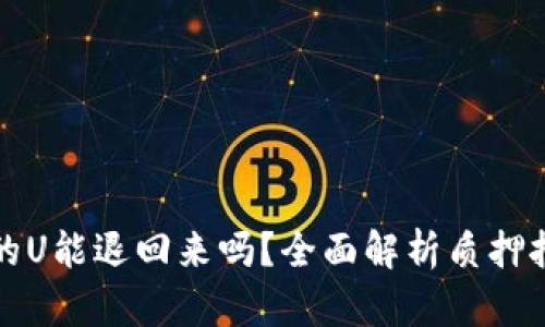 TP钱包质押挖矿的U能退回来吗?全面解析质押挖矿的风险与收益