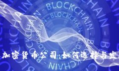 : 国际加密货币公司：如何选择与发展