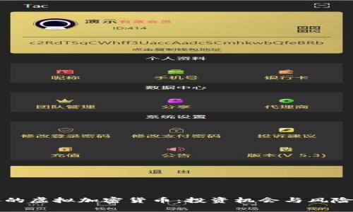 暴涨的虚拟加密货币:投资机会与风险分析