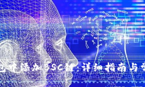 如何在TP钱包中添加BSC链:详细指南与常见问题解答