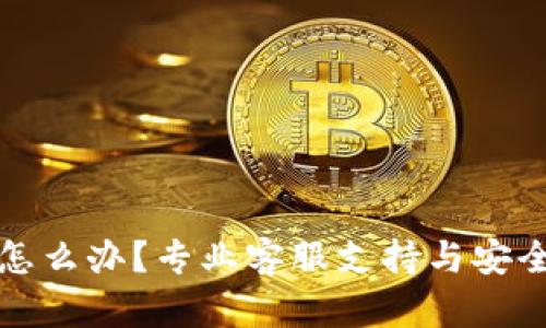 TP钱包被盗了怎么办?专业客服支持与安全解决方案指南