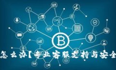 TP钱包被盗了怎么办？专业客服支持与