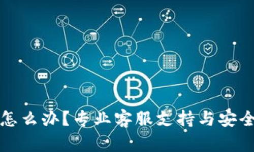 TP钱包被盗了怎么办?专业客服支持与安全解决方案指南