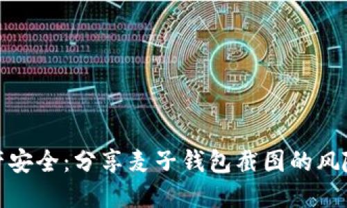 保护数字资产安全:分享麦子钱包截图的风险与应对措施