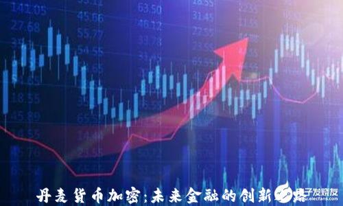 丹麦货币加密:未来金融的创新之路