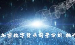 2024年加密数字货币前景分析：挑战与