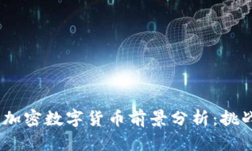 2024年加密数字货币前景分析:挑战与机遇