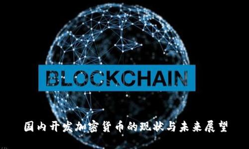 国内开发加密货币的现状与未来展望