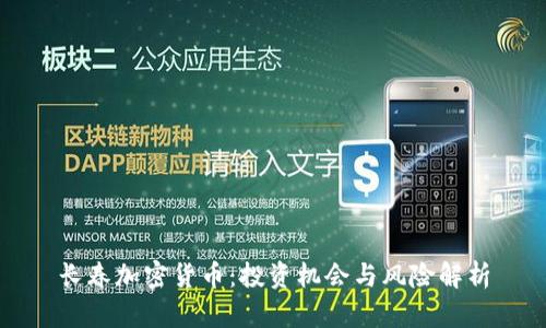 长春加密货币:投资机会与风险解析