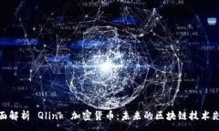 :全面解析 Qlink 加密货币：未来的区块