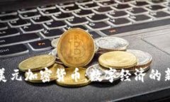 伊朗美元加密货币：数字经济的新方向
