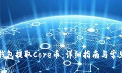 如何在TP钱包提取Core币：详细指南与常
