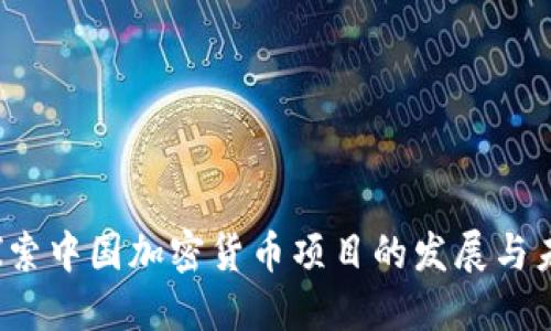  探索中国加密货币项目的发展与未来