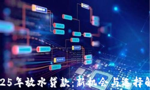 
2025年放水贷款：新机会与选择解析