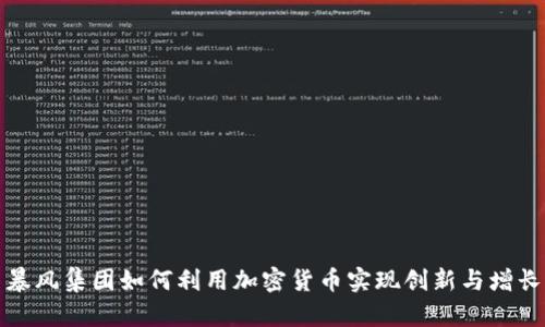 暴风集团如何利用加密货币实现创新与增长