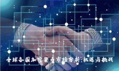 全球各国加密货币市场分析：机遇与挑