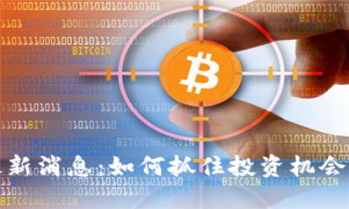 小拳头币最新消息：如何抓住投资机会与市场动态