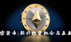 回形针加密货币：新兴投资机会与未来