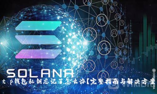t p钱包私钥忘记了怎么办？完整指南与解决方案