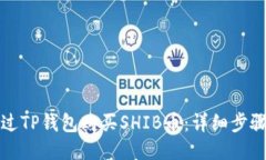 如何通过TP钱包购买SHIB币：详细步骤与