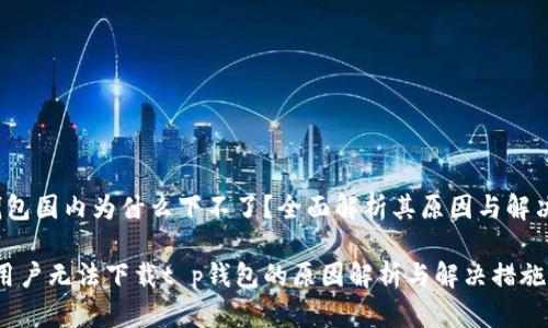 t p钱包国内为什么下不了？全面解析其原因与解决方案

中国用户无法下载t p钱包的原因解析与解决措施