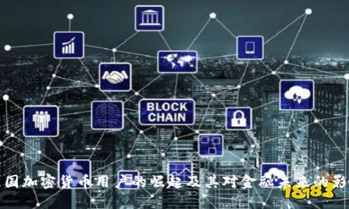 美国加密货币用户的崛起及其对金融未来的影响