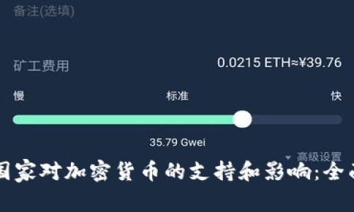 南非国家对加密货币的支持和影响：全面解析