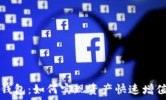   揭秘TP钱包：如何实现资产快速增值