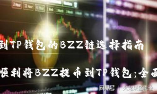 提币到TP钱包的BZZ链选择指南

如何顺利将BZZ提币到TP钱包：全面指南