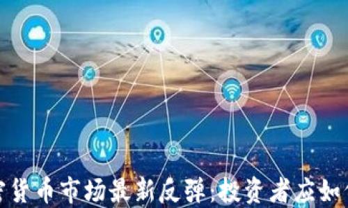 
2023年加密货币市场最新反弹：投资者应如何把握机会？