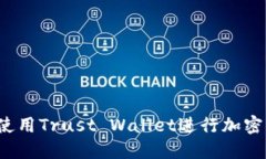 全面指南：如何使用Trust Wallet进行加密
