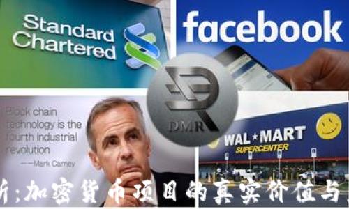
深度解析：加密货币项目的真实价值与未来潜力