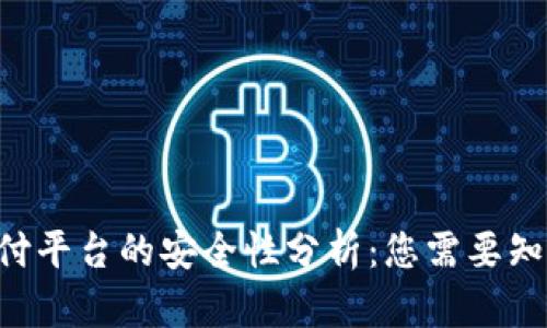 ddpay支付平台的安全性分析：您需要知道的一切