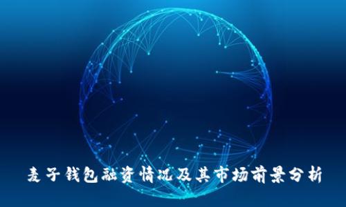 麦子钱包融资情况及其市场前景分析