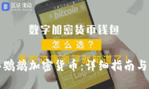 如何购买鹦鹉加密货币：详细指南与实用技巧