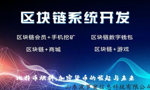 比特币燃料：加密货币的崛起与未来