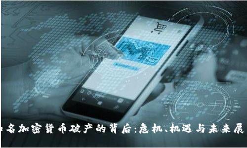 知名加密货币破产的背后：危机、机遇与未来展望