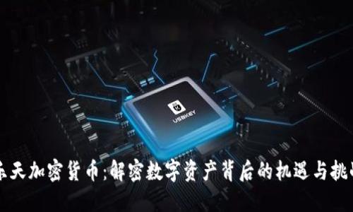 乐天加密货币：解密数字资产背后的机遇与挑战