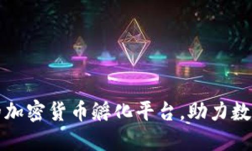 如何选择合适的加密货币孵化平台，助力数字资产成功发展