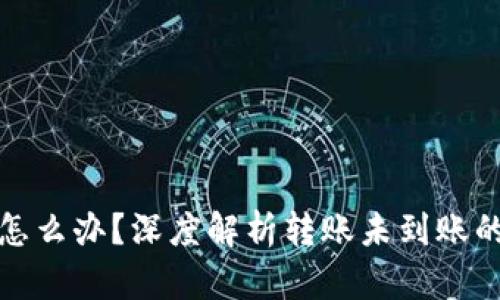 TP钱包转账失败怎么办？深度解析转账未到账的原因及解决方案