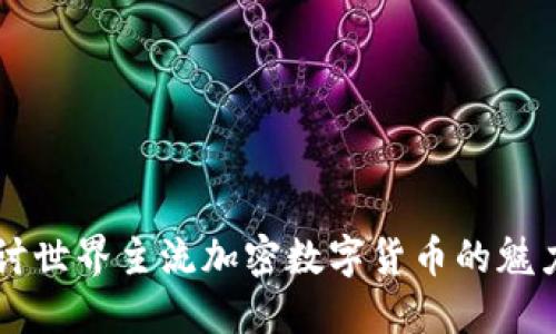 深入探讨世界主流加密数字货币的魅力与潜力
