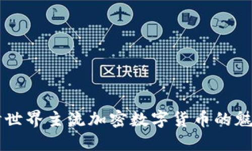 深入探讨世界主流加密数字货币的魅力与潜力